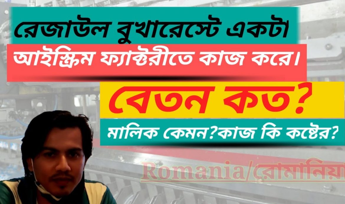 রোমানিয়ার আইসক্রিম ফ্যাক্টরিতে চাকুরী কেমন?