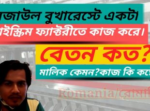 রোমানিয়ার আইসক্রিম ফ্যাক্টরিতে চাকুরী কেমন?