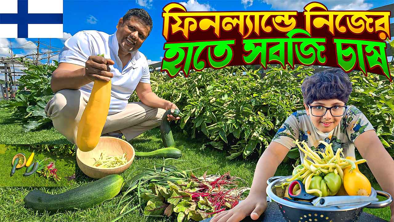 Harvesting & Gardening Tips | ফিনল্যান্ডে নিজের হাতে সবজি চাষ